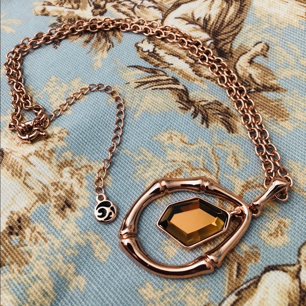 Necklace with Matching Earrings